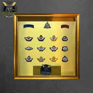 encased (shadow box)